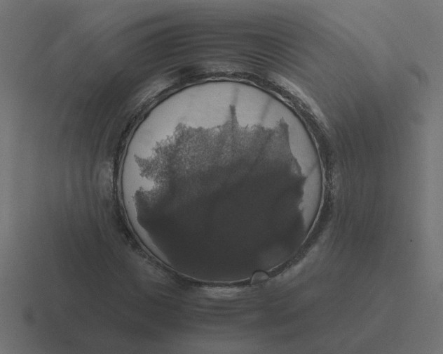 X0000116420825200912291847