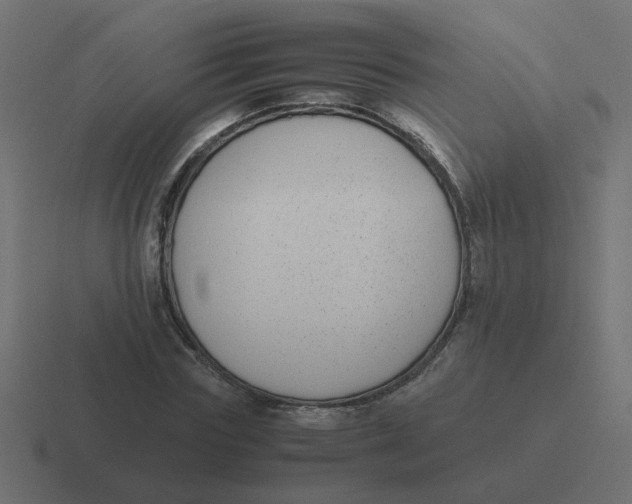 X0000116420827200912291847