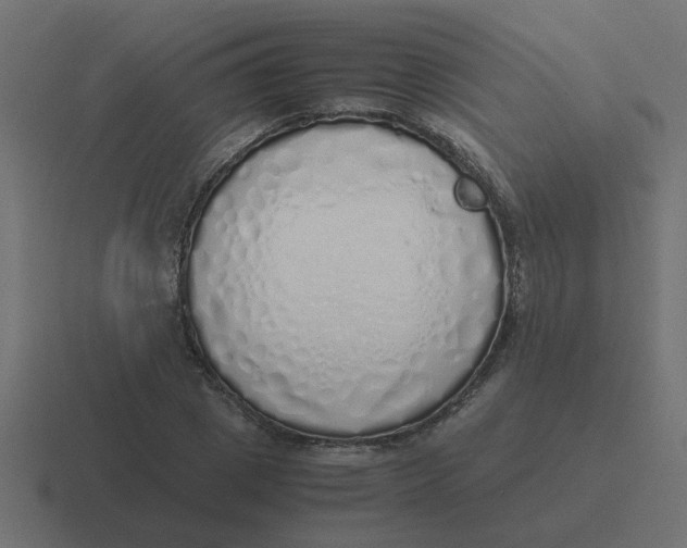 X0000116420833200912291847