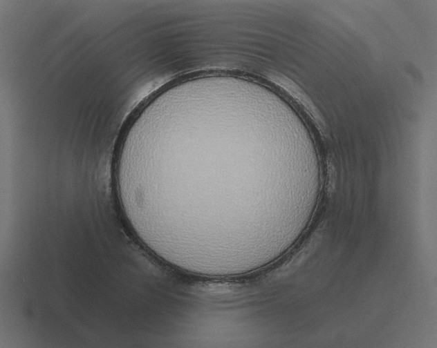 X0000116420834200912291847