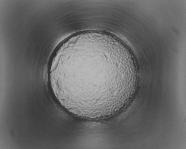 X0000116420838200912291847