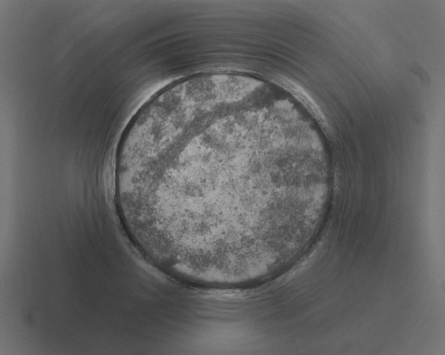 X0000116420844200912291847