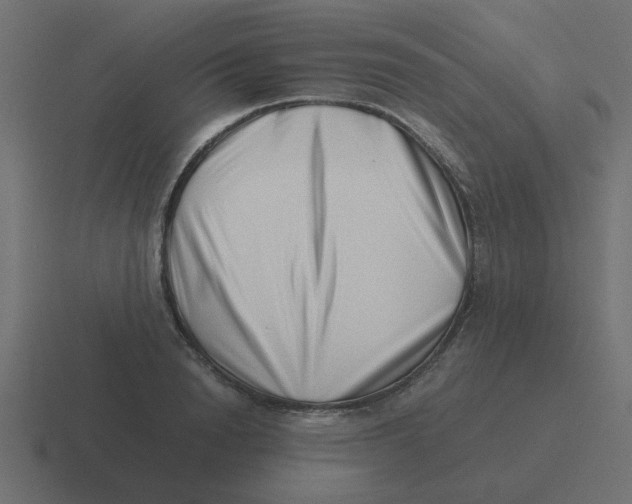 X0000116420846200912291847