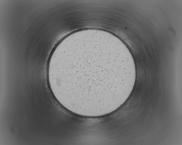X0000116420848200912291847