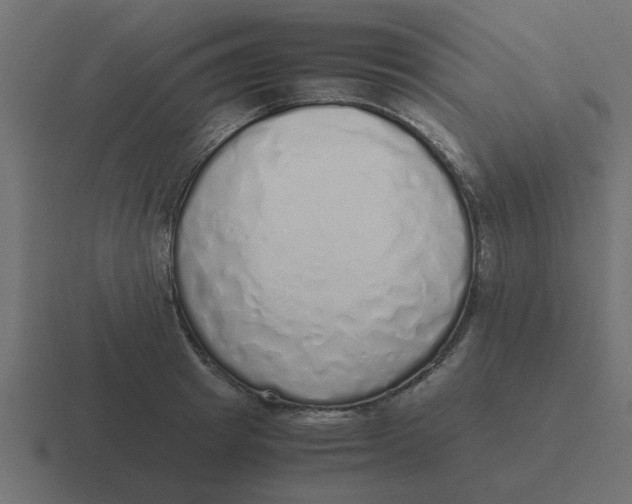 X0000116420849200912291847