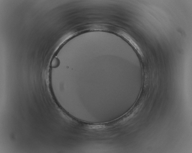 X0000116420853200912291847