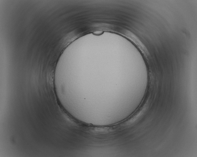 X0000116420857200912291847