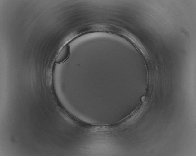 X0000116420858200912291847