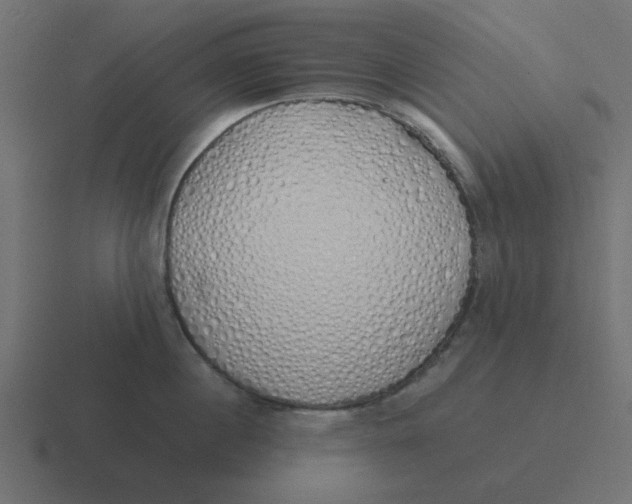 X0000116420860200912291847