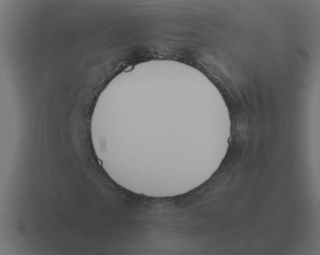 X0000116420865200912291847
