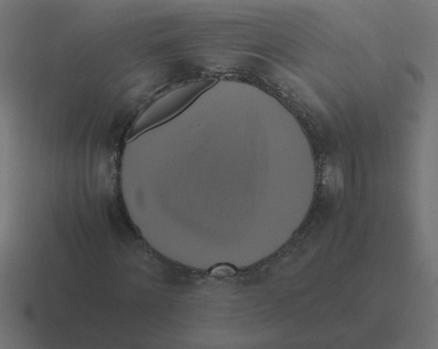 X0000116420868200912291847