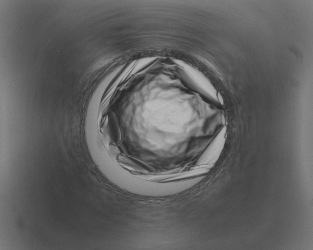 X0000116420869200912291847