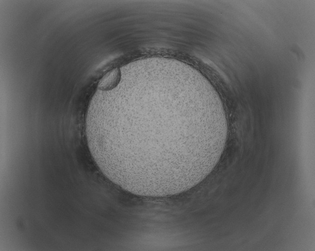 X0000116420870200912291847