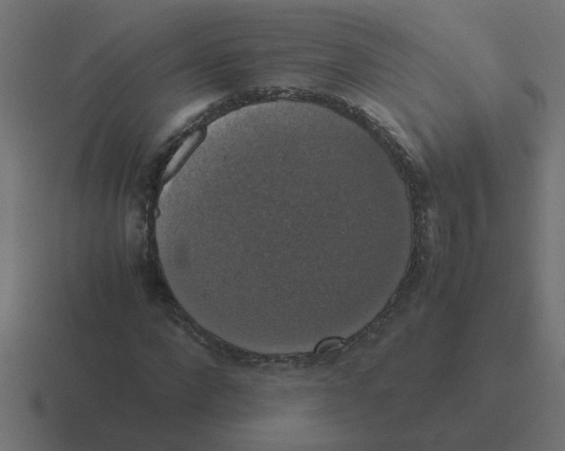 X0000116420872200912291847