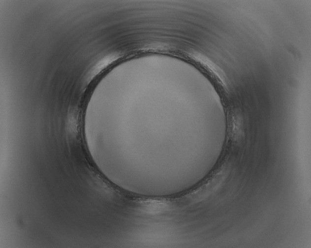 X0000116420874200912291847
