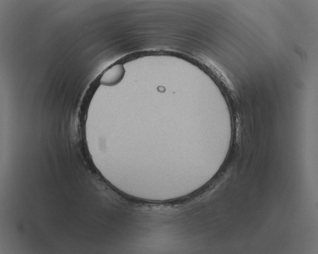 X0000116420876200912291847