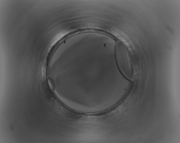 X0000116420877200912291847