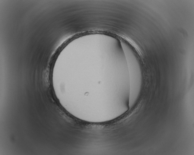 X0000116420878200912291847