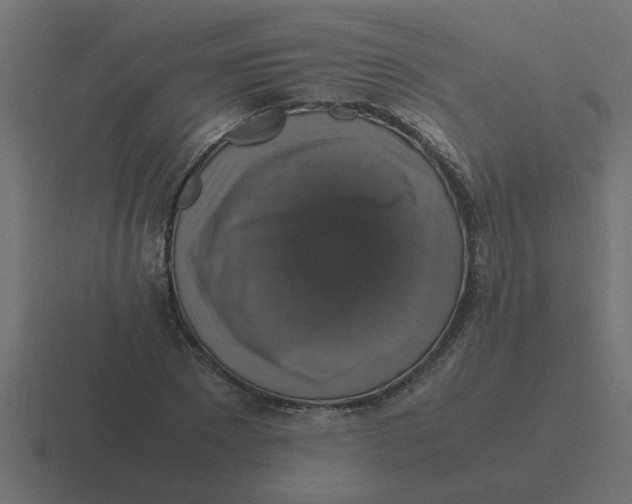 X0000116420881200912291847