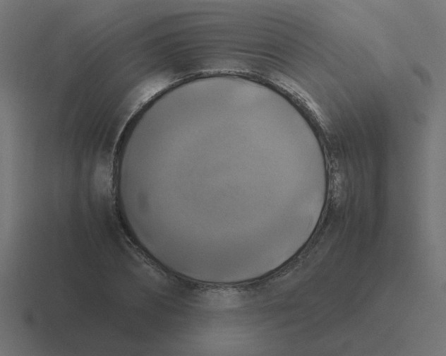 X0000116420882200912291847