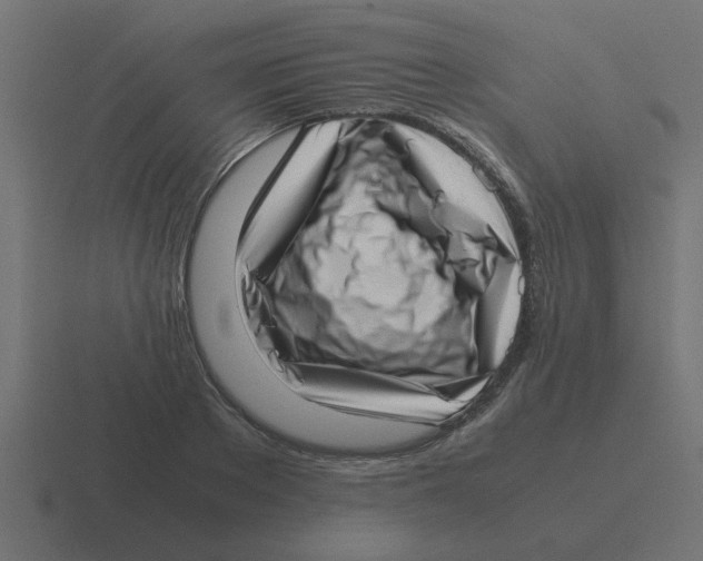 X0000116420889200912291846