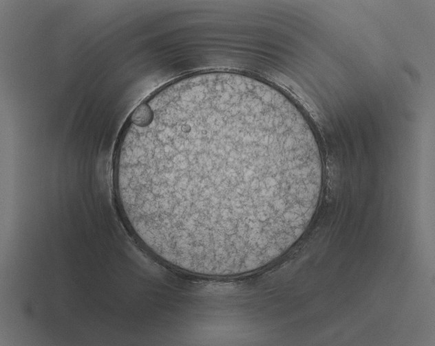 X0000116420890200912291846