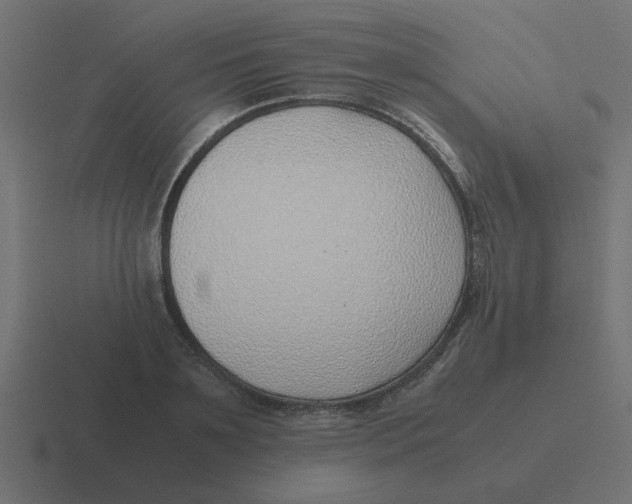 X0000116420891200912291846