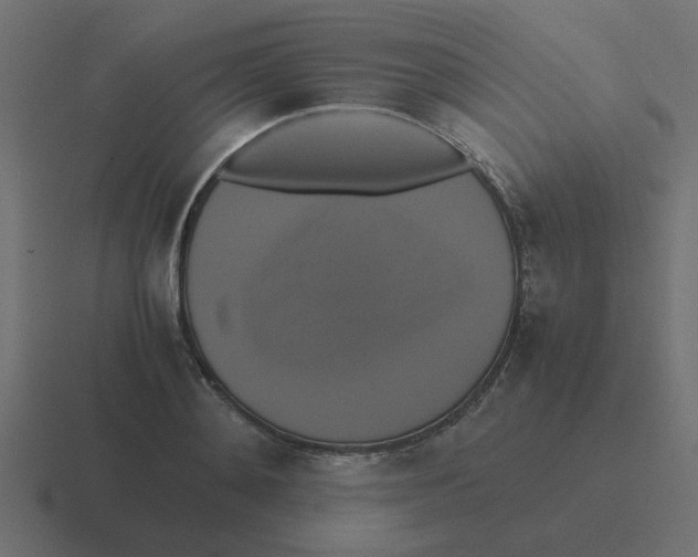 X0000116420892200912291846