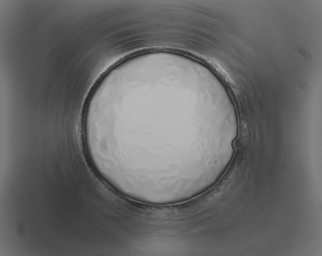 X0000116420895200912291846