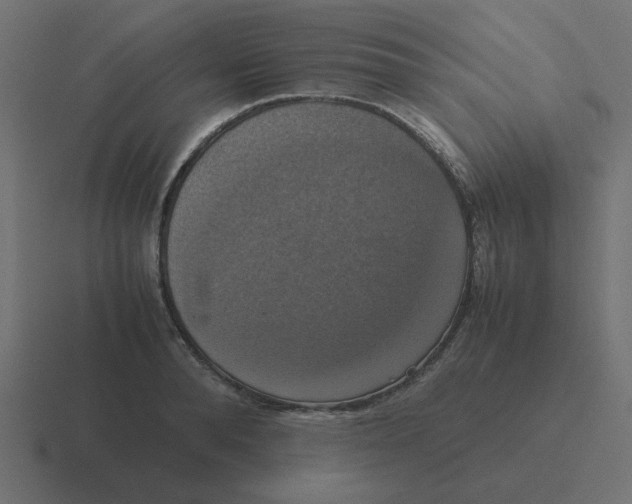 X0000116420896200912291846