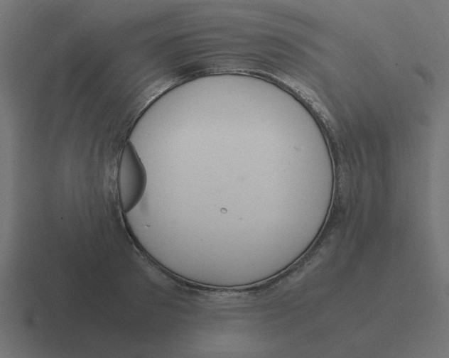 X0000116420897200912291846