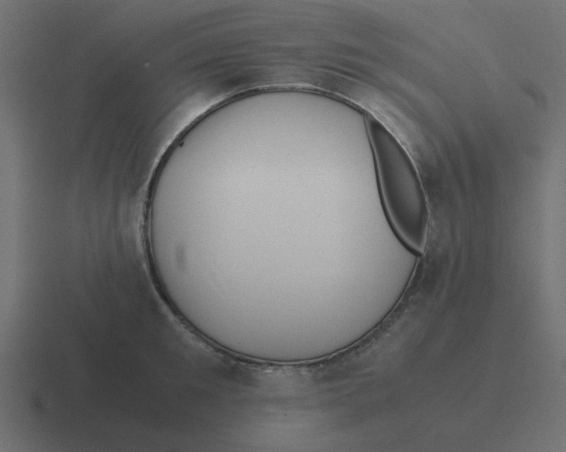 X0000116420901200912291846