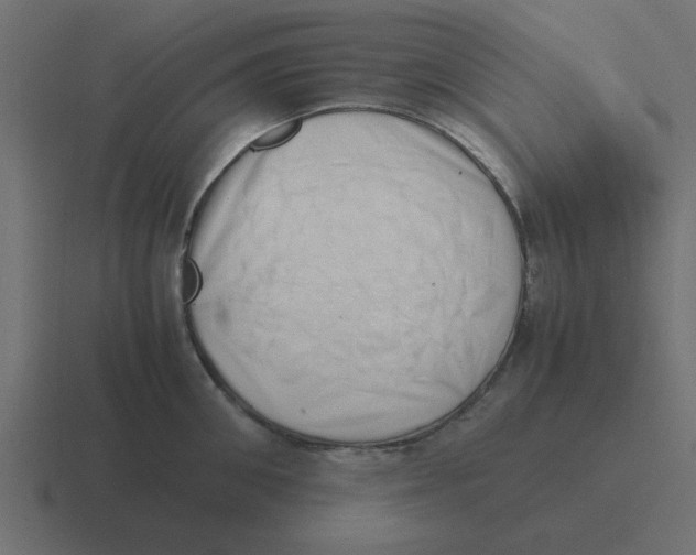 X0000116420906200912291846