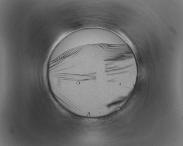 X0000116420909200912291846