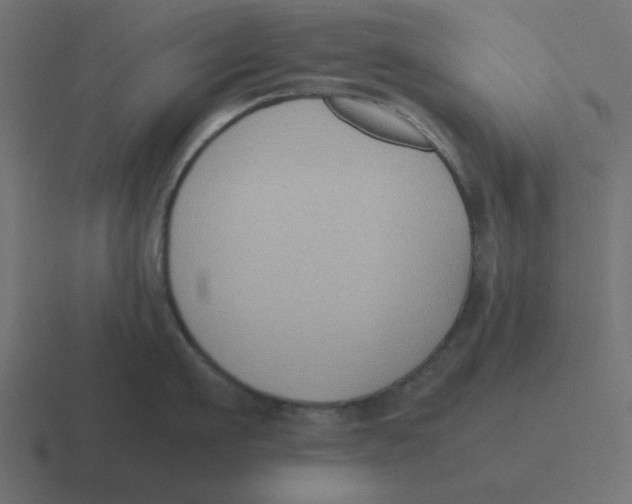 X0000116420911200912291846