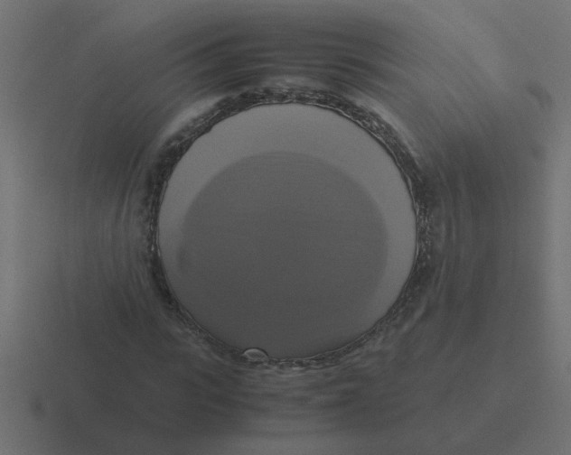 X0000116420919200912291846