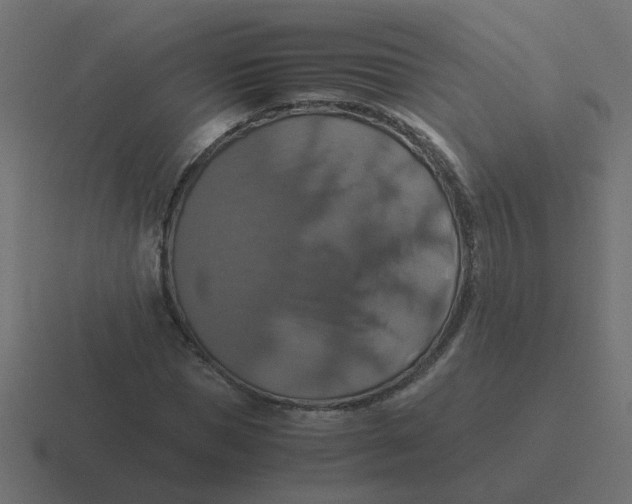 X0000116420921200912291846