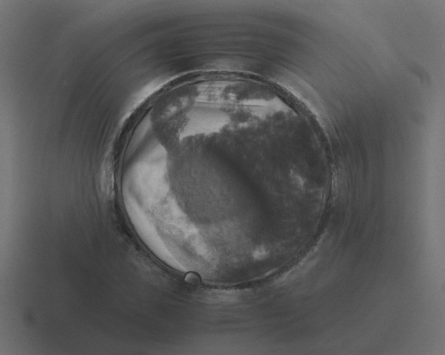 X0000116420925200912291846