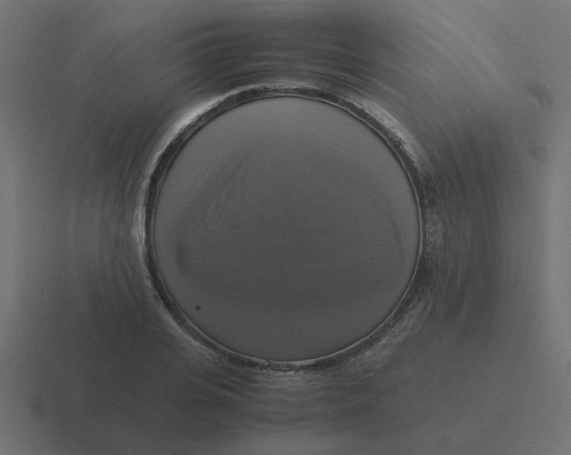 X0000116420935200912291846