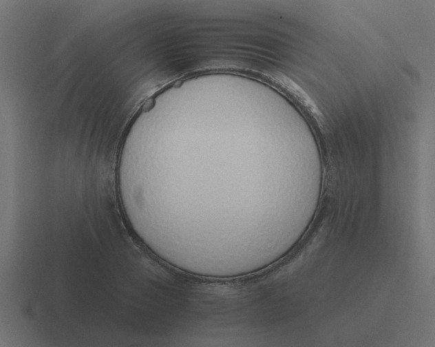 X0000116420937200912291846