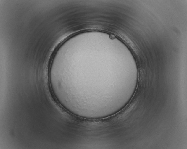 X0000116420939200912291846