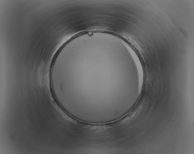 X0000116420941200912291846