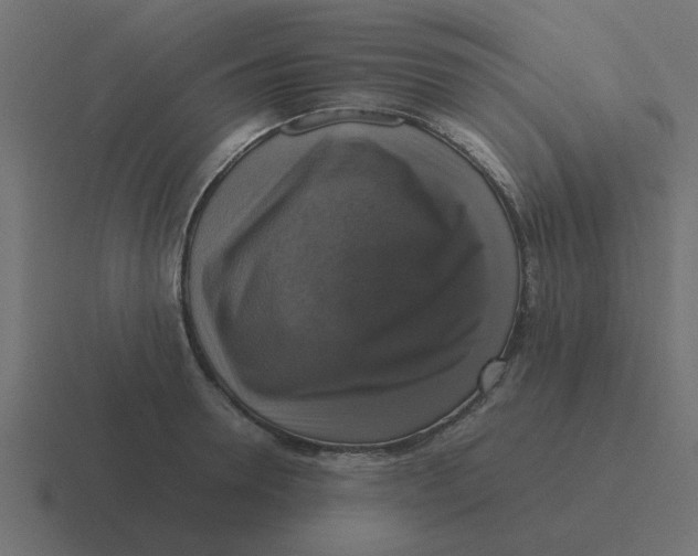 X0000116420946200912291846