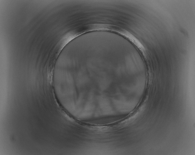 X0000116420953200912291846