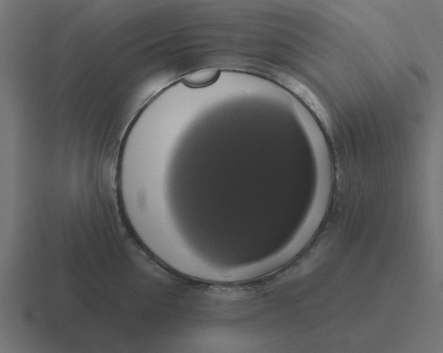 X0000116420954200912291846