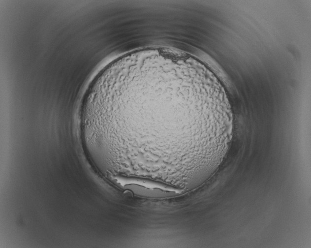 X0000116420955200912291846