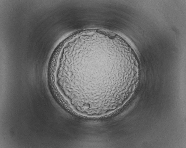 X0000116420957200912291846