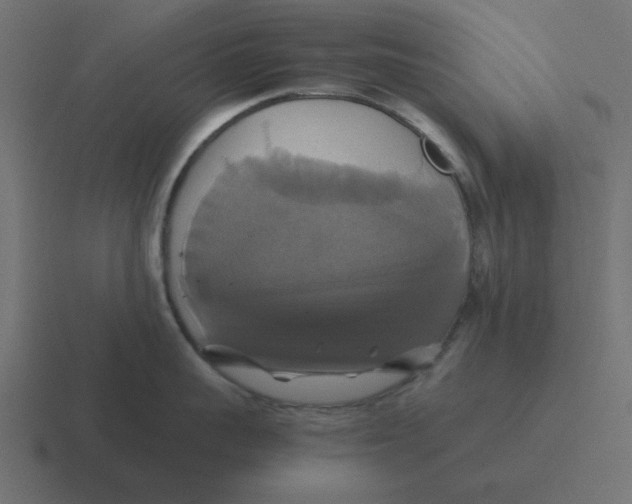 X0000116420959200912291846