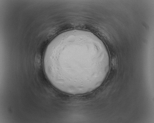 X0000116420963200912291846