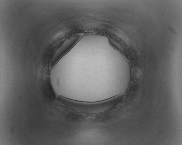 X0000116420965200912291846